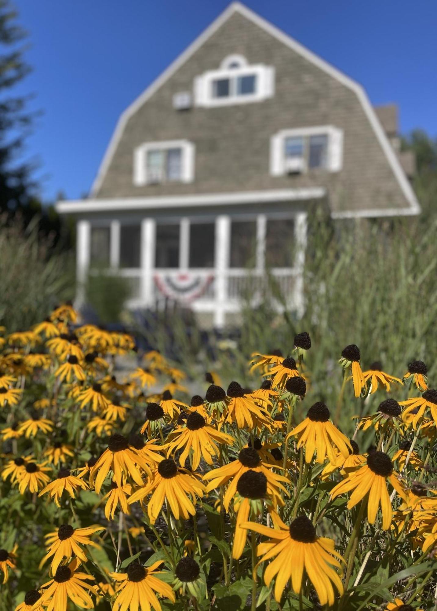 White Sails Inn Kennebunk Bagian luar foto